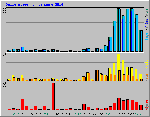 Daily usage for January 2010