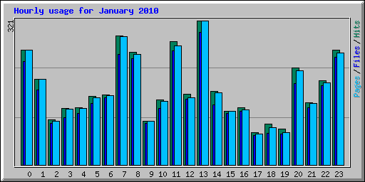 Hourly usage for January 2010